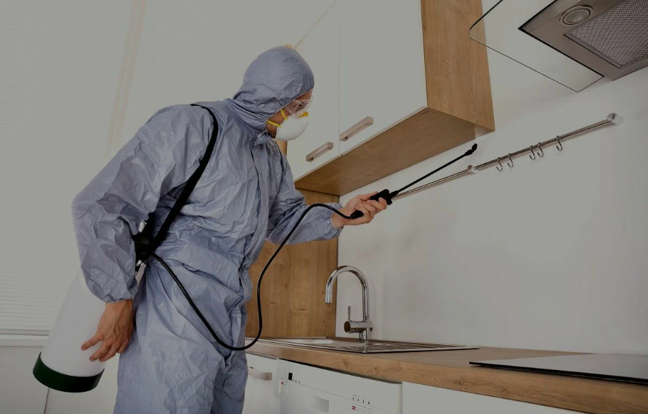 West Sacramento pest managment